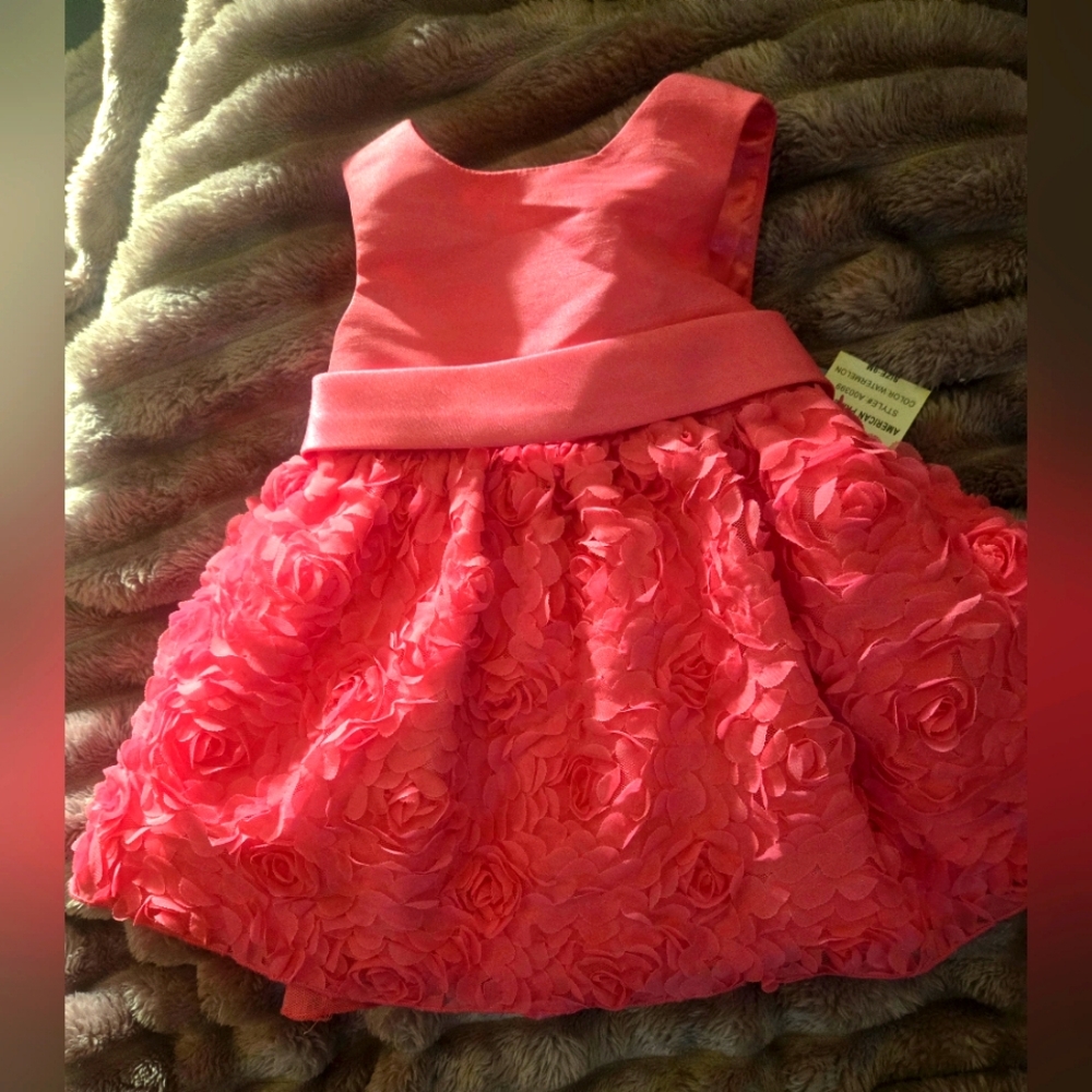 NWT American Princess Dress Size 9 months.